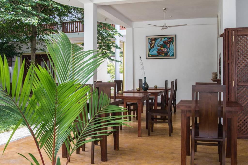 Sounds Of Nature Mini Hotel Mirissa Extérieur photo